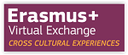 erasmus virtual exchange 150